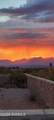 8173 Willow Bloom Circle - Photo 48
