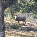 TBD Mesita Drive - Photo 8