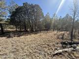 TBD Eldrado Drive - Photo 4