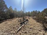 TBD Eldrado Drive - Photo 5