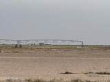 29570 San Diego Street - Photo 10