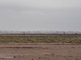 29570 San Diego Street - Photo 13