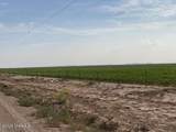 29570 San Diego Street - Photo 2