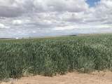 29570 San Diego Street - Photo 3