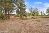 1015 Lister Drive - Photo 7