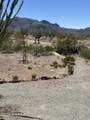 10615 Achenbach Canyon Road - Photo 7