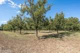 3044 Snow Road - Photo 4