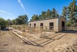 3044 Snow Road - Photo 5
