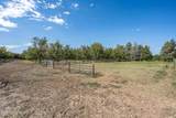 3044 Snow Road - Photo 67