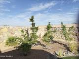 4913 Arabela Drive - Photo 19
