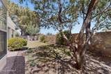 664 Cielo Bonito Court - Photo 62