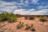 1301 Estancia Real Road - Photo 9