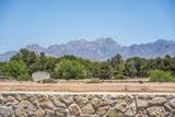 3848 Santa Catalina Loop - Photo 60