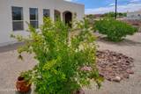 4309 Calle Sonesta Arc - Photo 8