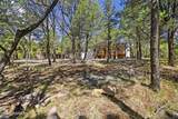 208 Deer Park Drive - Photo 33