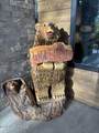 730 Little Bear - Photo 14