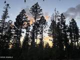 730 Little Bear - Photo 15
