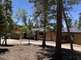 730 Little Bear - Photo 9