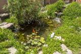 945 Ironshoe Road - Photo 41
