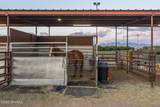 220 Squirrel Road - Photo 62
