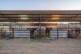 220 Squirrel Road - Photo 64