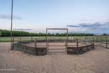 220 Squirrel Road - Photo 70