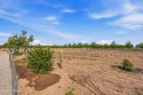 2634 Ohara Road - Photo 58