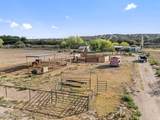 4217 County Road B-006 - Photo 11