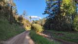 60 Fork Walnut Creek Road - Photo 10