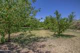 4735 Campbell Road - Photo 38