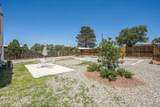 1118 Campo Street - Photo 41
