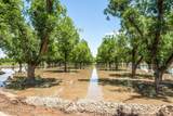 2917 Snow Road - Photo 42