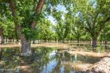 2917 Snow Road - Photo 45