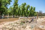 2917 Snow Road - Photo 47