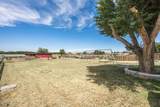3125 Dona Ana Road - Photo 47