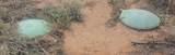 7572 Moonstone Street - Photo 21