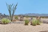 8185 Willow Bloom Circle - Photo 2
