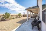 4905 Arabela Drive - Photo 38