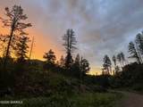 116 Villa Madonna Loop - Photo 34