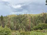116 Villa Madonna Loop - Photo 41