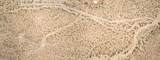 6215 Desert Star Road - Photo 6