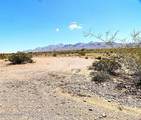 TBD Alamo Mine Trail - Photo 10