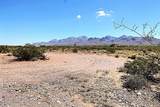 TBD Alamo Mine Trail - Photo 9