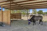 1146 Eagle Wings Road - Photo 13