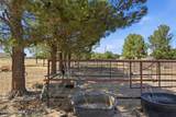 1146 Eagle Wings Road - Photo 20