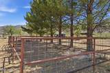 1146 Eagle Wings Road - Photo 21
