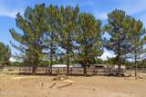 1146 Eagle Wings Road - Photo 23