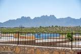 3748 Piedras Negras Drive - Photo 15