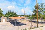1125 Livesay Street - Photo 25
