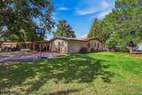 2517 Calle De Vista - Photo 56